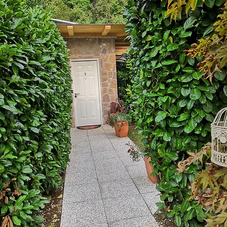 Country Il Melo 住宿加早餐酒店