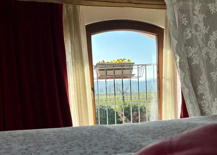 Country Il Melo 4* 维琴察