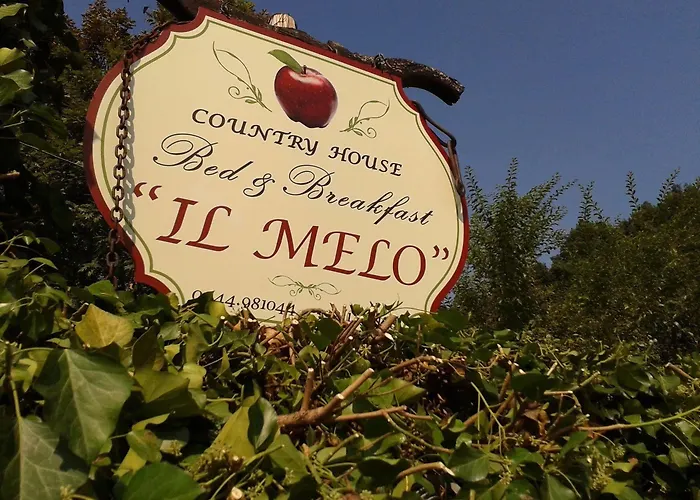 Country Il Melo 4* 维琴察